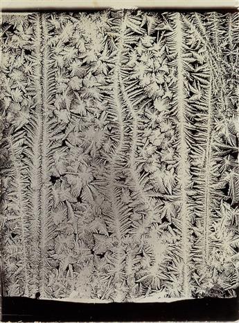 BENTLEY, WILSON A. (1865-1931) Group of 5 photographs of frost studies.